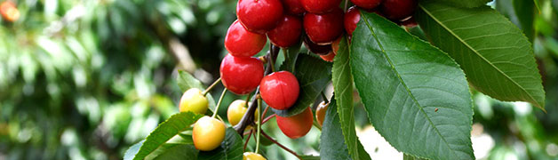 imtoken下载_imtoken官网_imtoken钱包app下载网址